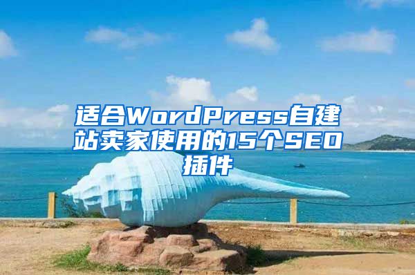 适合WordPress自建站卖家使用的15个SEO插件